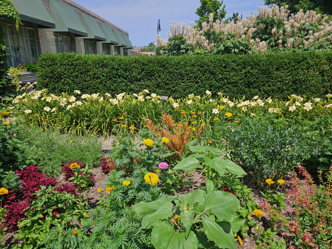 Greenhouse and flowers at the Garfield Park Conservatory